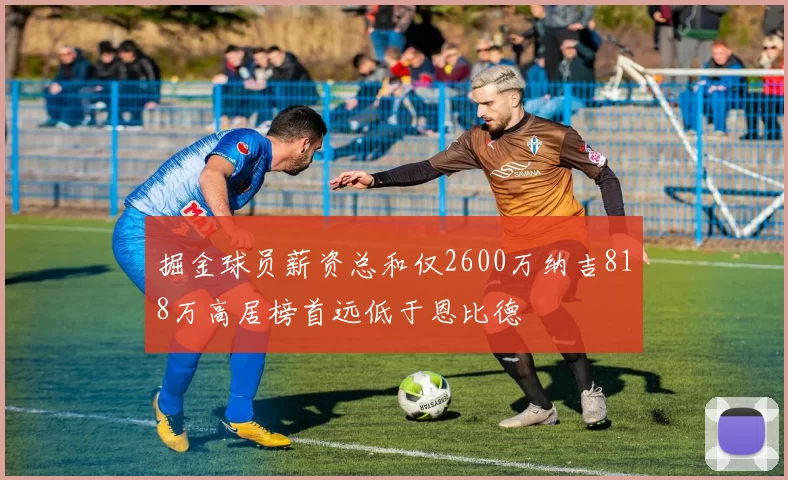 掘金球员薪资总和仅2600万纳吉818万高居榜首远低于恩比德
