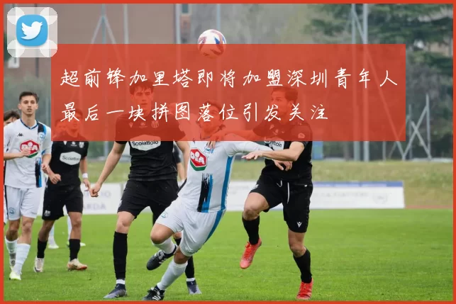 超前锋加里塔即将加盟深圳青年人最后一块拼图落位引发关注